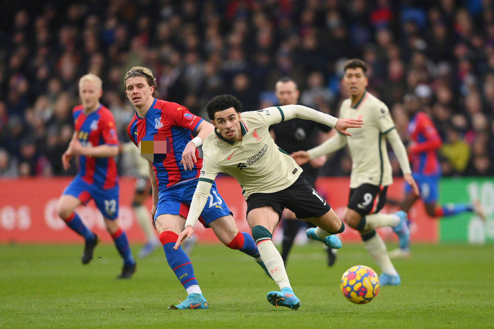 她们需要在 她们需要在